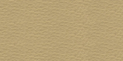 vainila 5789